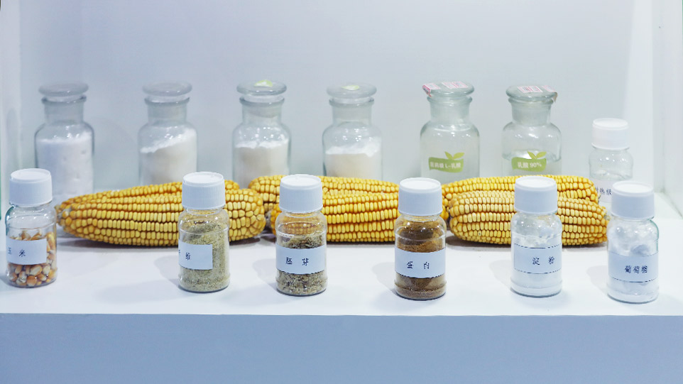 東邁-特種工程塑料制品/零部件的研制廠(chǎng)家